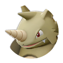 Rhydon