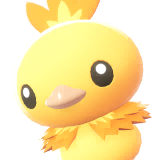 Archivo:Torchic icono LPZA variocolor.png - WikiDex, la enciclopedia ...