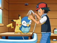 Archivo:EP563 Ash duchando a Piplup.png
