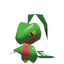 Grovyle Rumble.png
