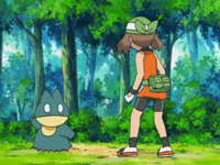 Archivo:EP545 Munchlax y May-Aura.png