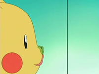 Archivo:EP524 Pikachu lame la infusión.png