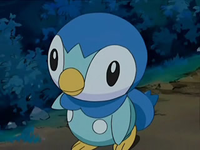 Archivo:EP567 Piplup.png