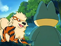 Archivo:EP416 Arcanine vs Munchlax.png