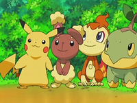 Archivo:EP544 Pikachu, Buneary, Chimchar y Turtwig.png