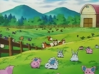 Archivo:EP067 Pokémon en el corral (3).jpg