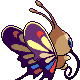 Imagen posterior de Beautifly variocolor hembra en Pokémon Diamante y Pokémon Perla