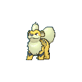 Growlithe XY variocolor.png