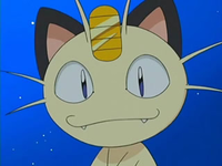 Archivo:EP522 Meowth.png