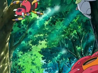 Archivo:EP540 Pokémon del bosque.png