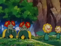 Archivo:EP254 Bellossom y Sunflora.png