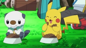 Archivo:EP728 Oshawott y Pikachu comiendo.jpg
