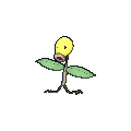 Bellsprout XY.png