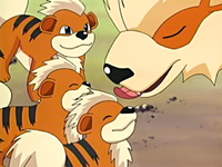 Archivo:EP416 Arcanine y Growlithe 2.png
