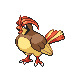 Pidgeotto HGSS 2.png