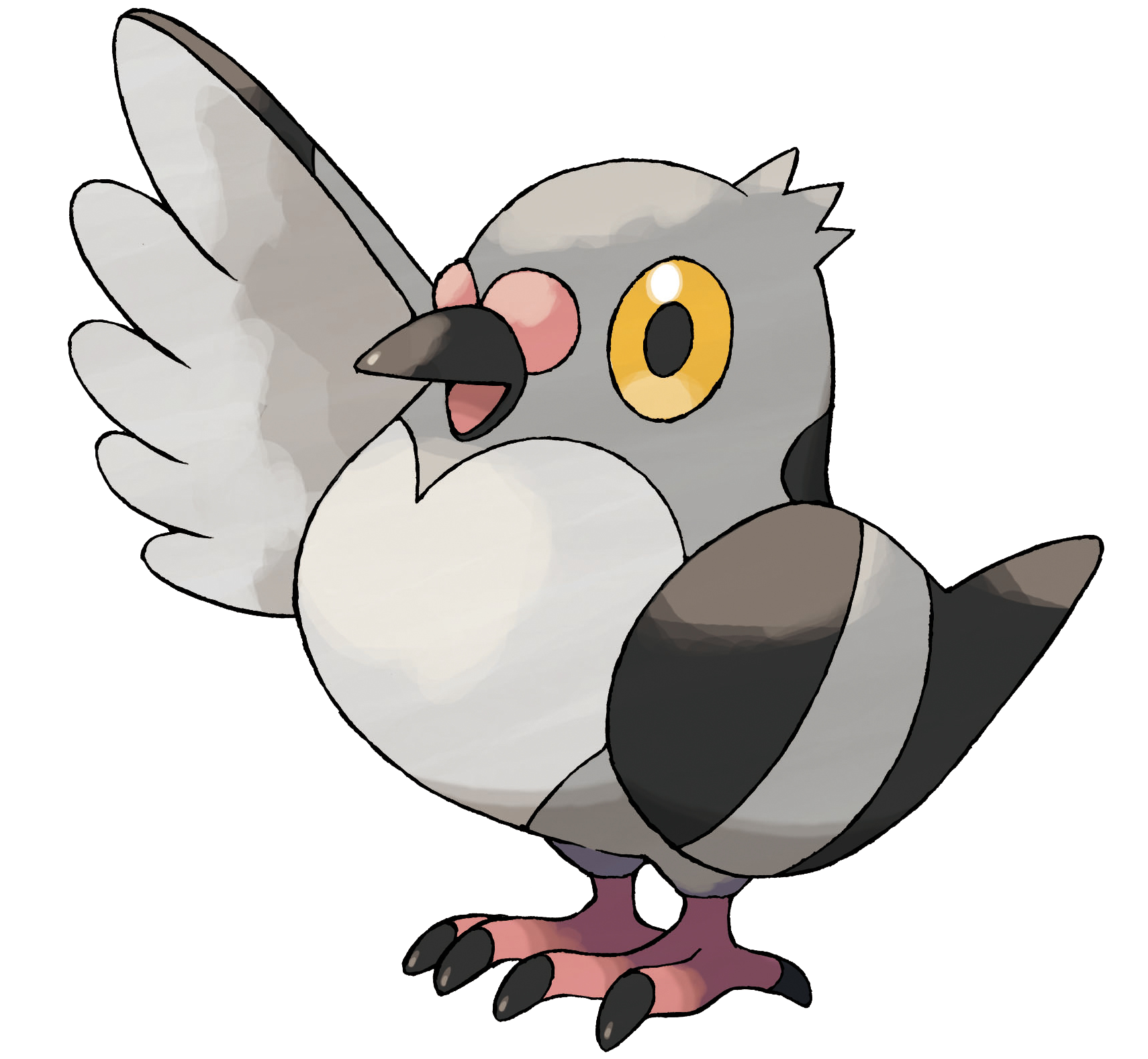 Pidove Wikidex La Enciclopedia Pokemon