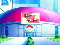 Archivo:EP480 Concurso Pokémon de Jubileo (3).png