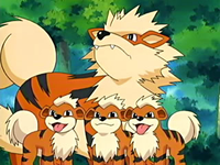 Archivo:EP416 Growlithe y Arcanine.png