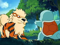 Arcanine vs. Squirtle.