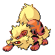 Arcanine DP.png