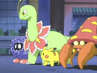 Archivo:EP341 Tangela, Meganium y Parasect de la Oficial Jenny junto a Pikachu.PNG