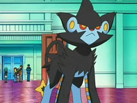 Archivo:EP528 Luxray.png