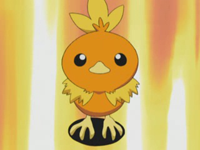 Archivo:EP277 Torchic.png