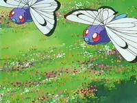 Archivo:EP254 Butterfree.png
