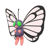 Archivo:Butterfree EpEc variocolor hembra.png