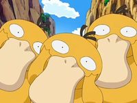 Archivo:EP556 Psyduck confusos.png