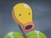 Archivo:EP172 Bellsprout del anciano.png