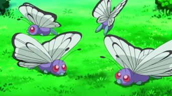 Archivo:EP792 Butterfree (2).png
