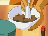 Archivo:EP511 Brock preparando comida Pokémon.png