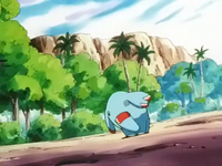 Archivo:EP261 Phanpy confuso (2).png