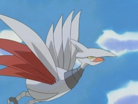 Archivo:EP334 Skarmory.png