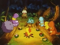 Lugar donde los Pokémon tienen una pequeña hoguera para comer.