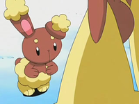 Archivo:EP555 Buneary y Lopunny.png