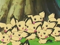 Archivo:EP181 Pichu (2).png