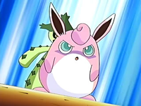 Archivo:EP458 Wigglytuff cubriendo a Cacturne.png