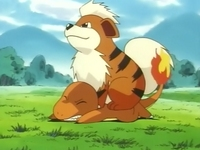 Archivo:EP033 Growlithe.png