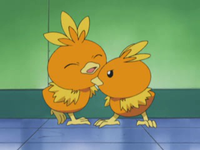 Archivo:EP310 Torchic vs Torchic.png
