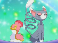 Shellos y Glameow actuando en un concurso Pokémon.