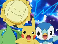 Sunflora, Pikachu y Piplup.