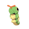 Caterpie DBPR.png