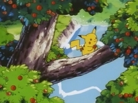 Archivo:EP039 Pikachu cogiendo una manzana.png