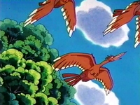 Archivo:EP119 Fearow.png