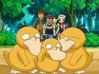 Archivo:EP556 Familia Psyduck.png