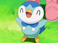 Archivo:EP554 Piplup.png