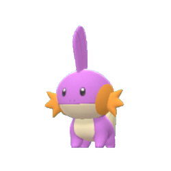 Mudkip