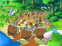 Archivo:EP541 Pokémon del bosque.png